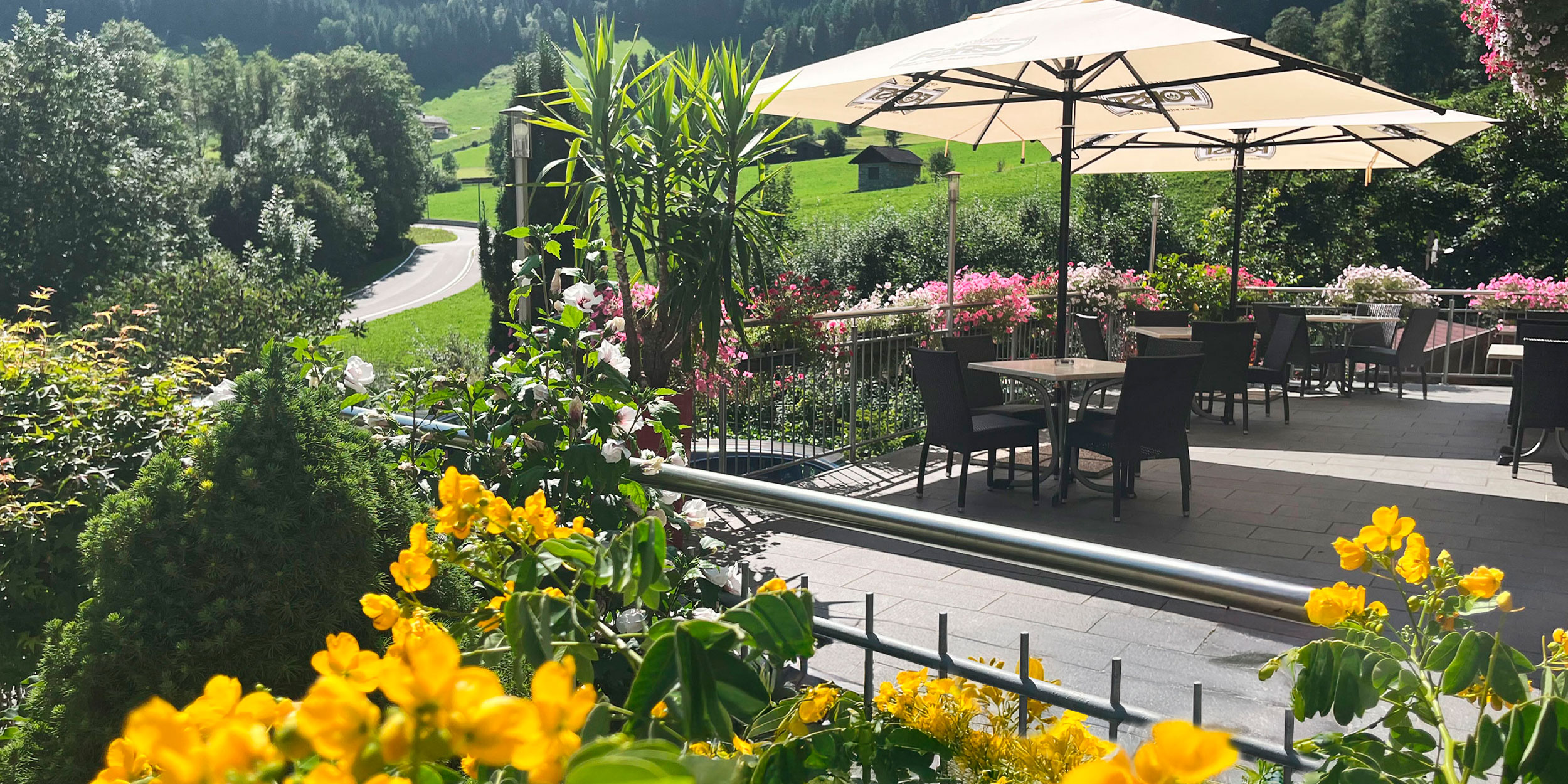 Speiß und Trank in der Natur Dolomiten Südtirol